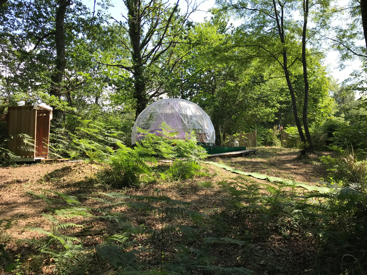 Bulle en nature Landaise – photo 9 sur 20