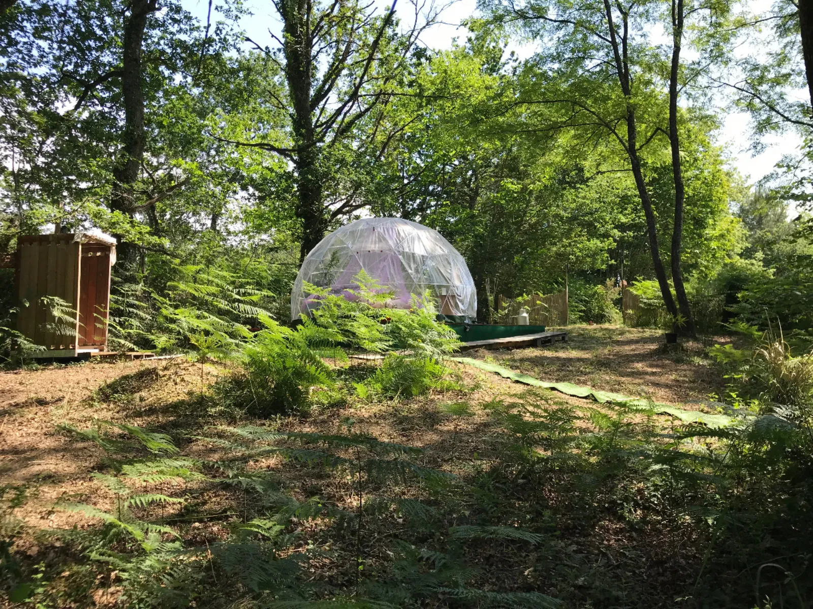 Bulle en nature Landaise - photo 9 sur 20