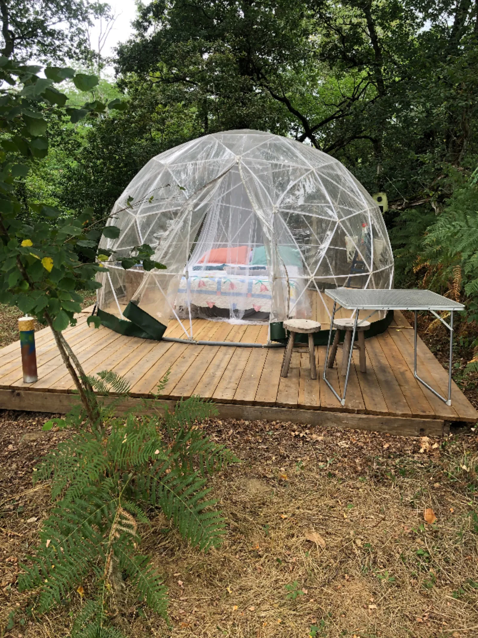 Bulle en nature Landaise - photo 11 sur 20