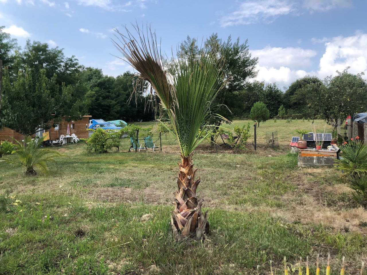 Bulle en nature Landaise – photo 13 sur 20