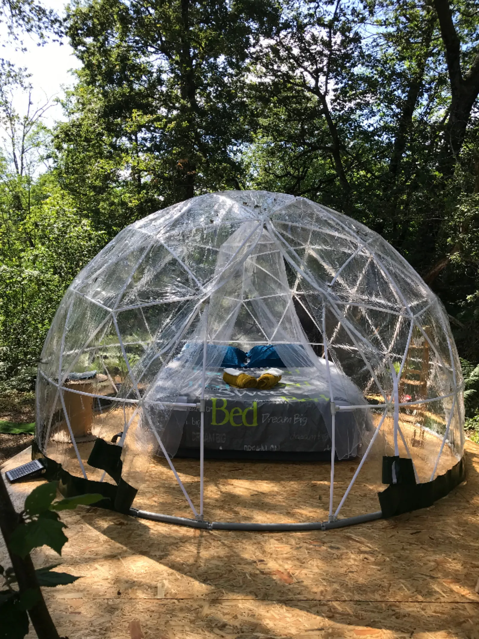 Bulle en nature Landaise - photo 15 sur 20