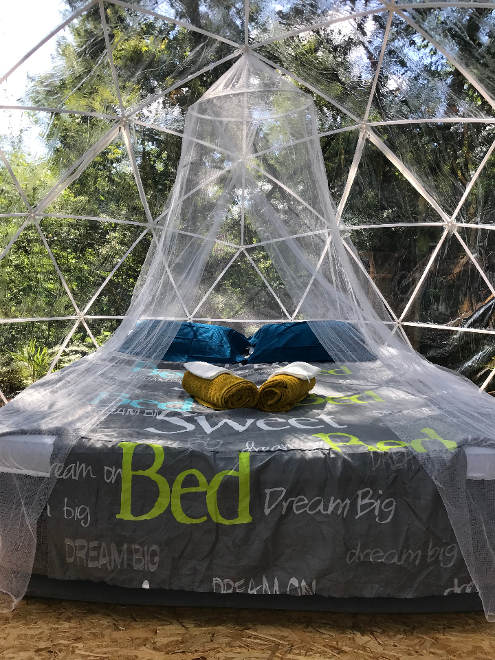 Bulle en nature Landaise – photo 16 sur 20