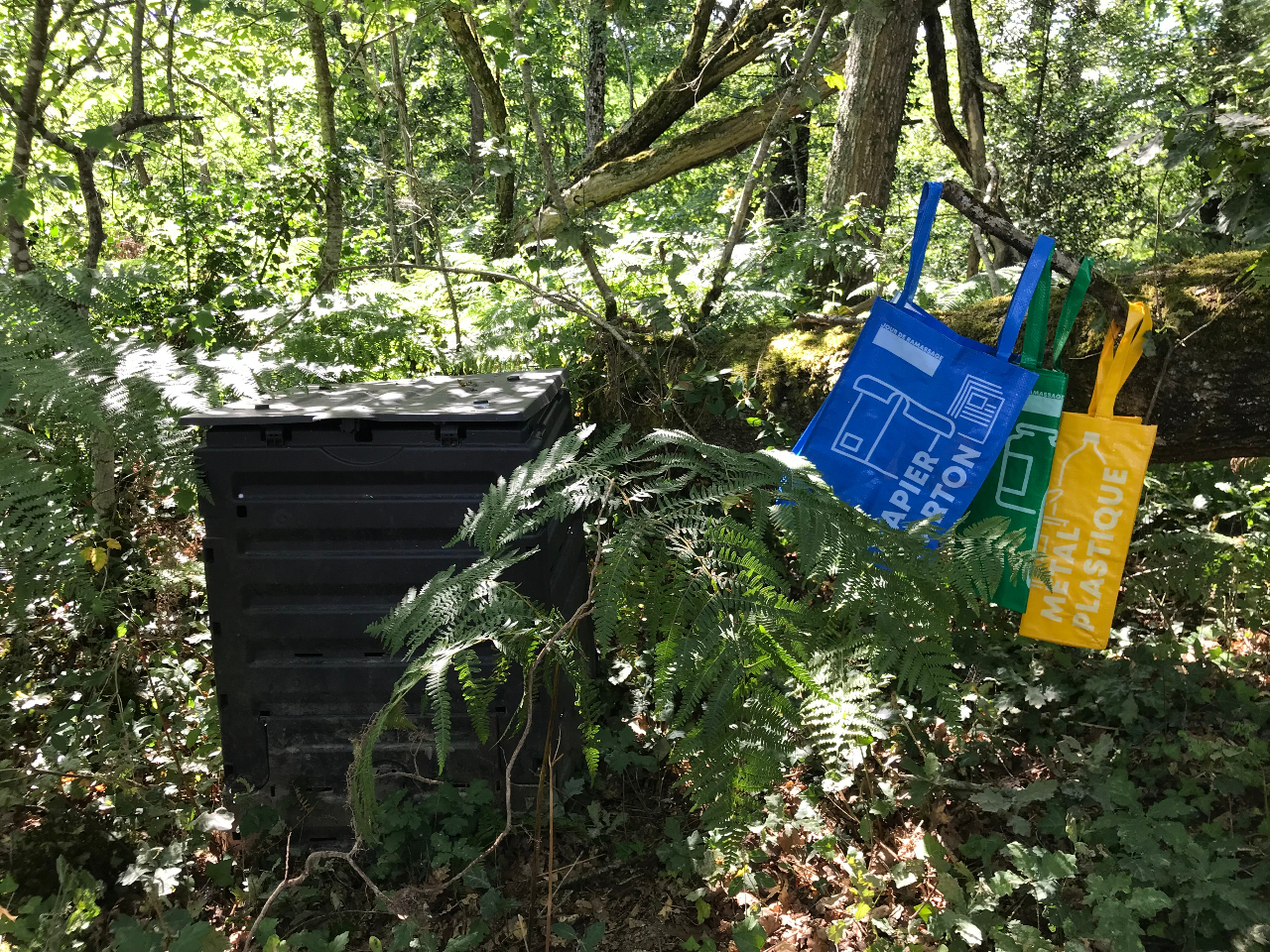 Bulle en nature Landaise – photo 17 sur 20