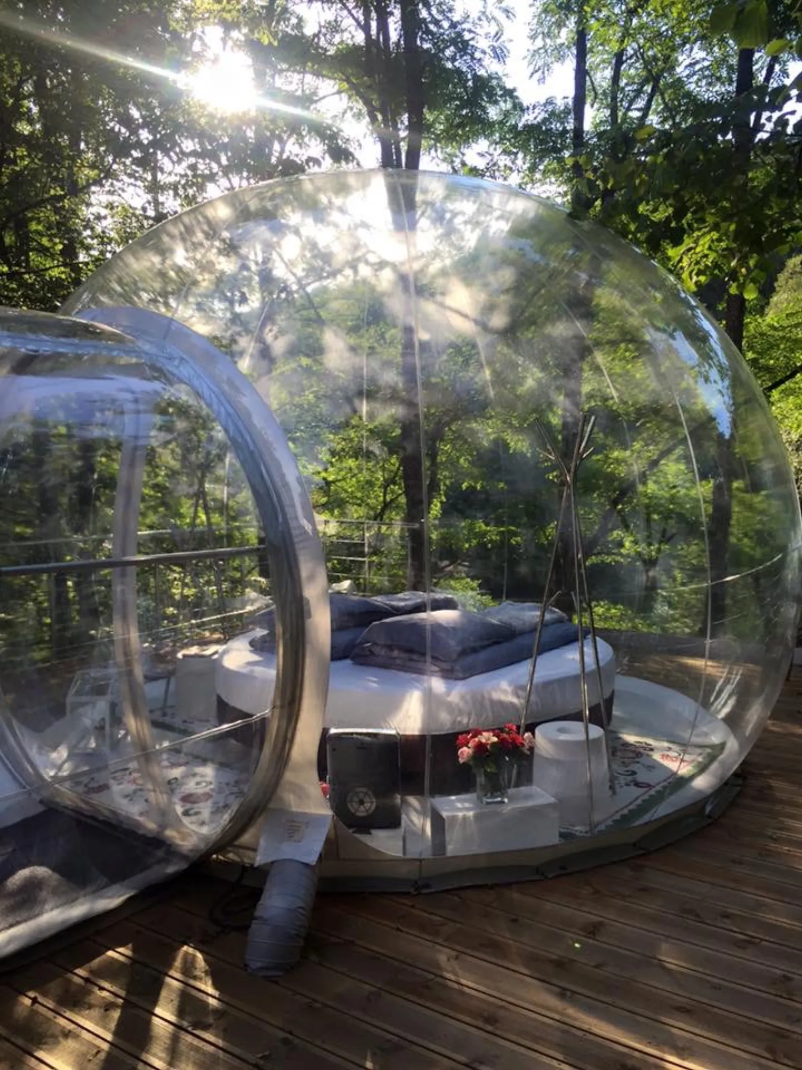 bulle insolite Moselle - photo 5