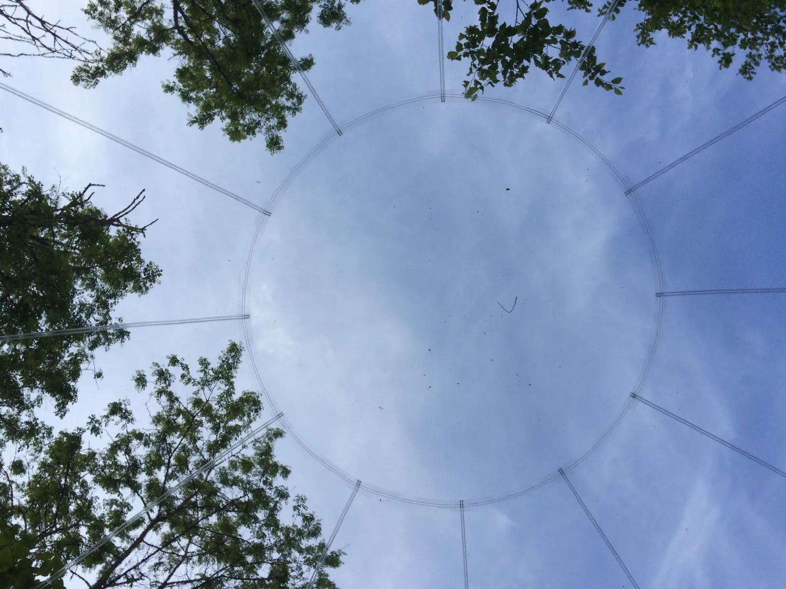 La Bulle - La Grange d'Hélène - photo 9 sur 13