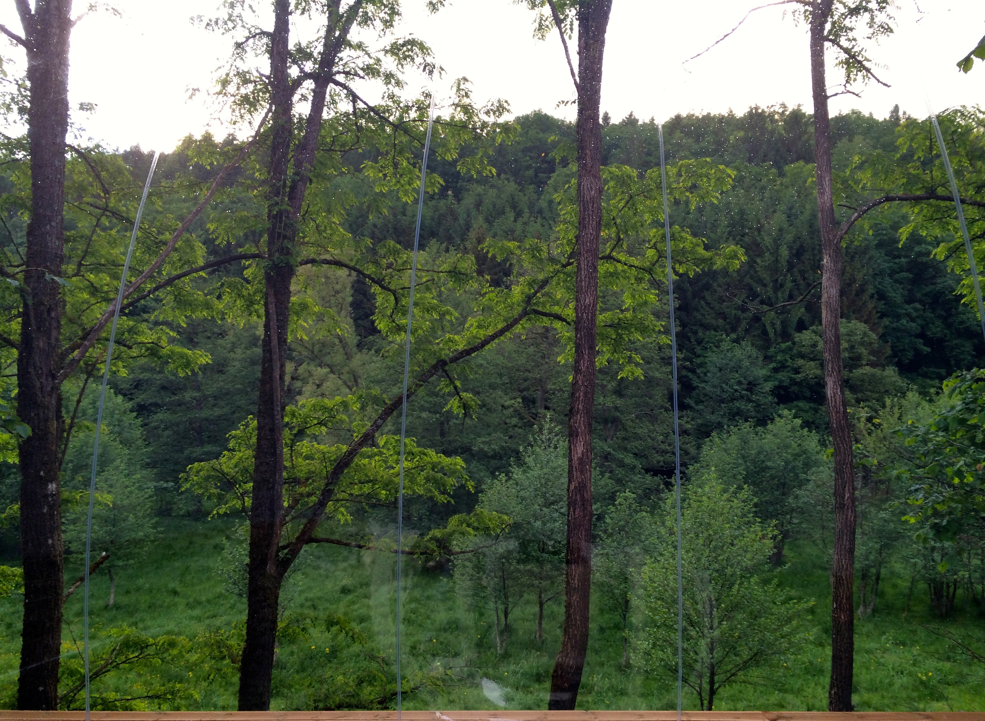 La Bulle - La Grange d'Hélène – photo 10 sur 13