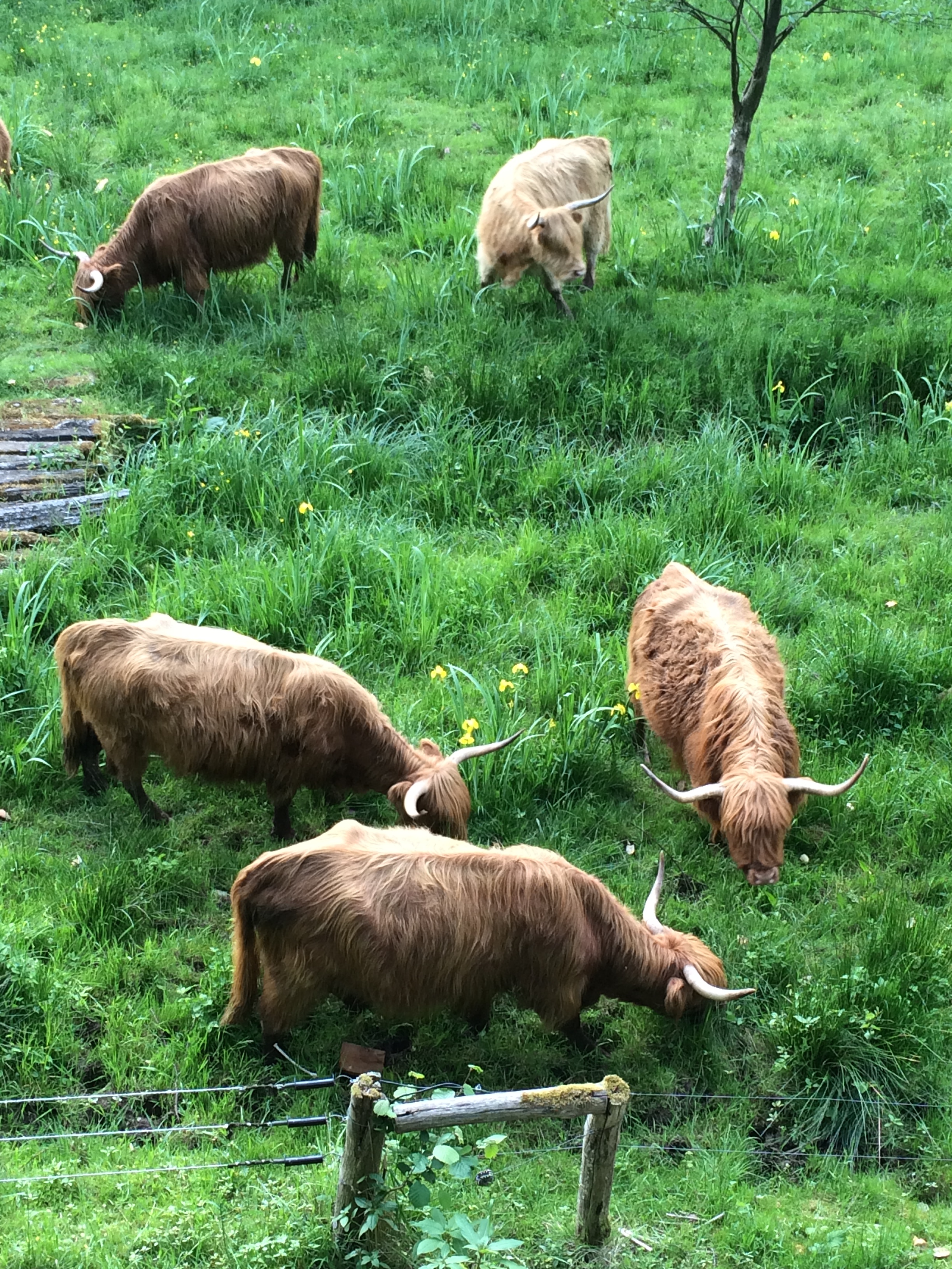 La Bulle - La Grange d'Hélène – photo 13 sur 13