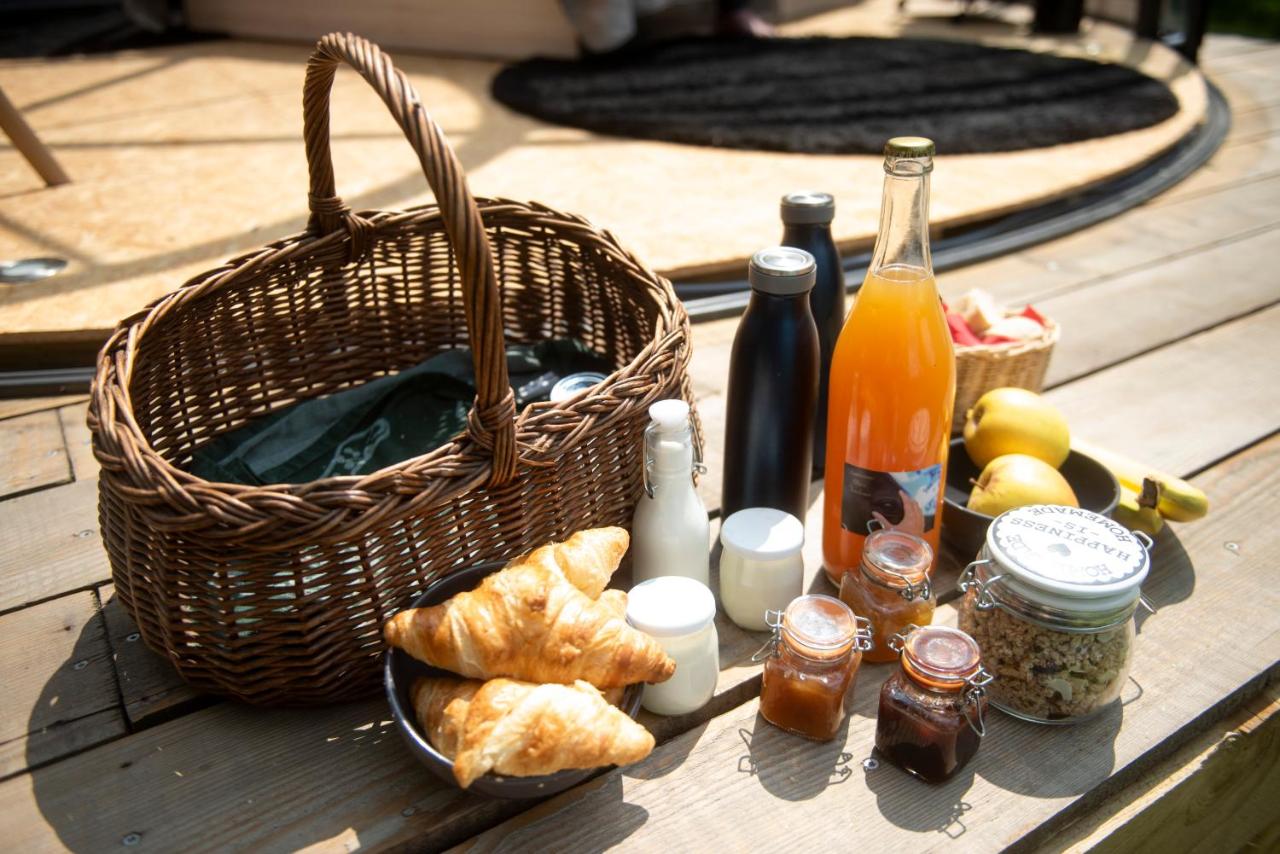 Chambre bulle sous les étoiles à Étréaupont