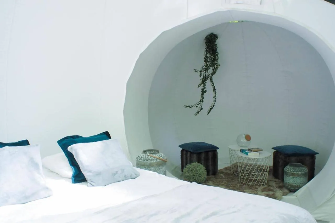 Chambre bulle sous les étoiles à Chartres