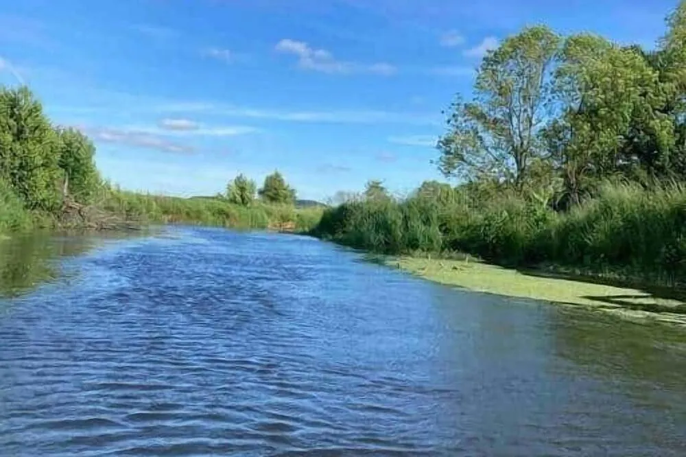 Bulle Love du Domaine du Pré Dieu - Bulle étoilée avec une heure de spa privatisé et petit-déjeuner (Crécy-sur-Serre, Aisne) - photo 17 sur 26