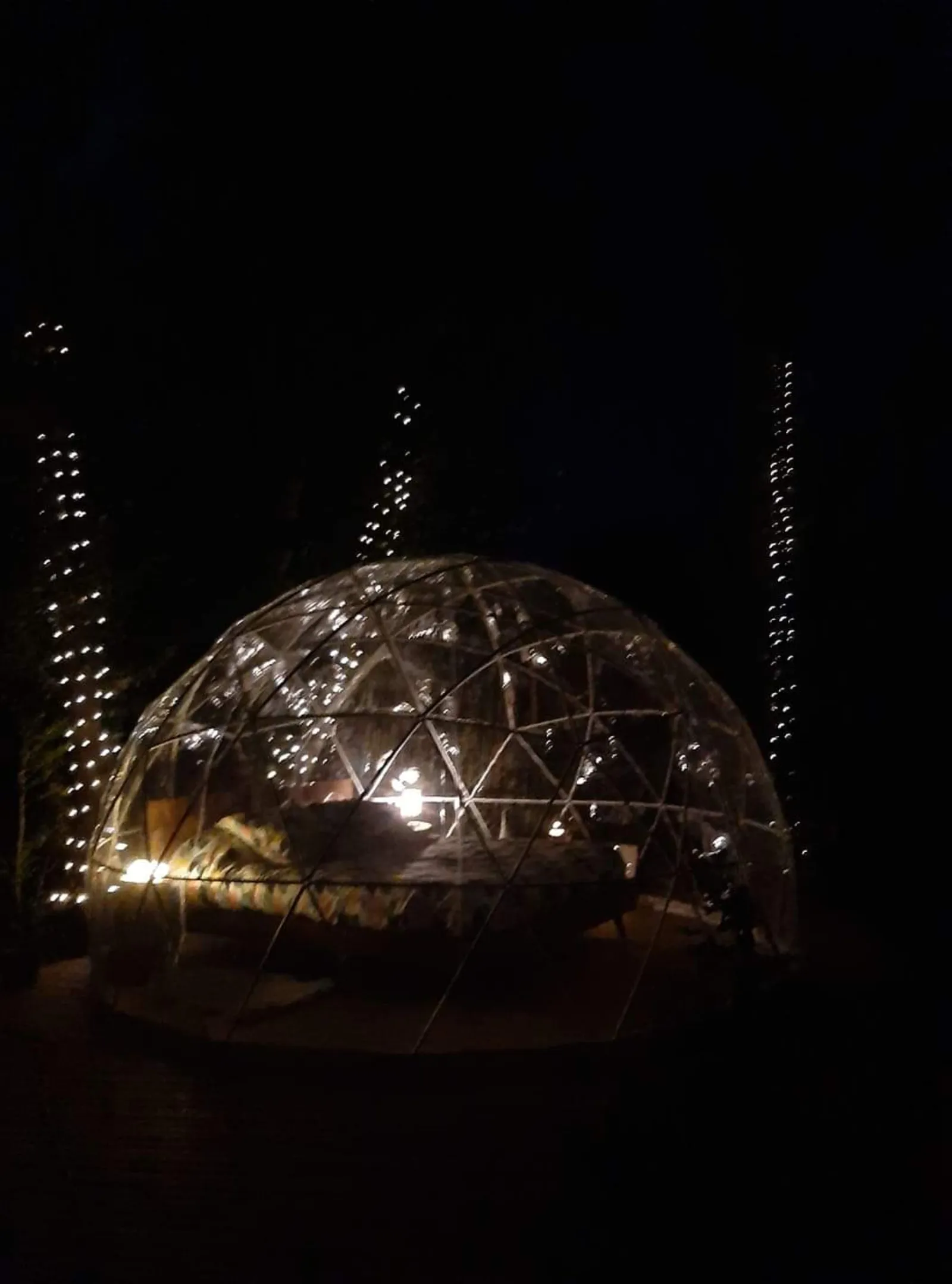 Bulle Mystique - L'Arche Enchantée - photo 10 sur 15