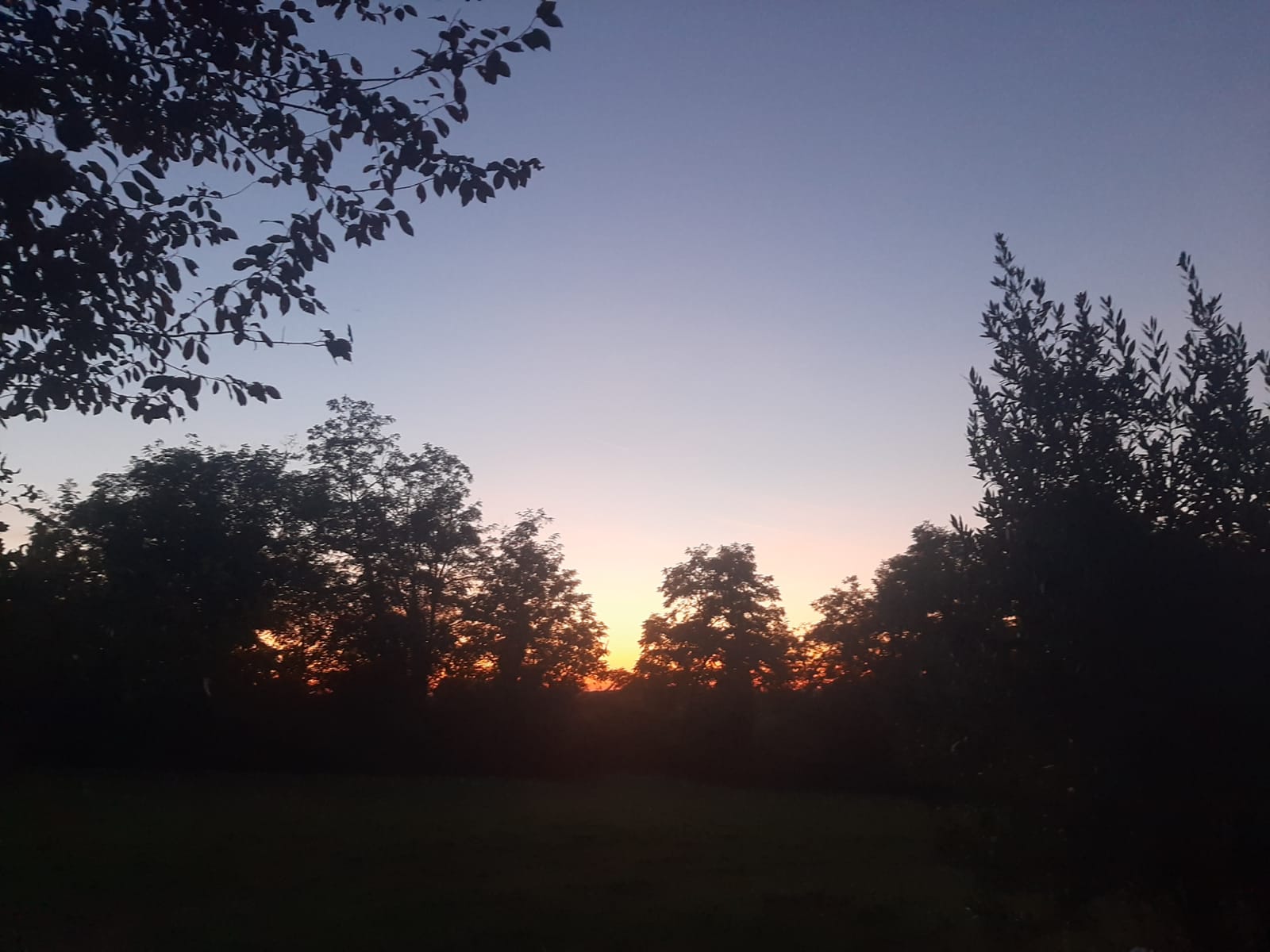 Bulle Mystique - L'Arche Enchantée – photo 14 sur 15