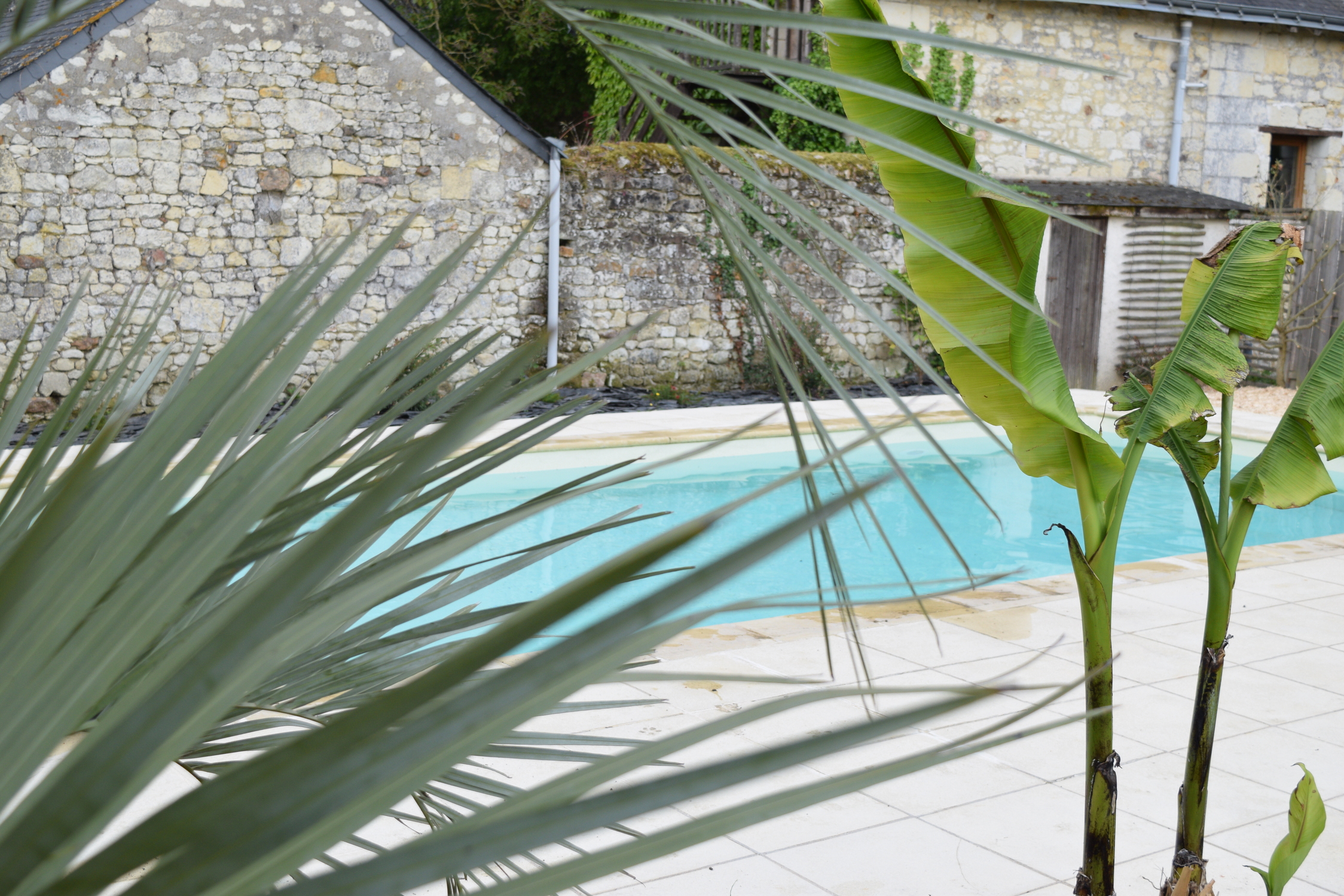 Bulle de Nature & Spa – photo 11 sur 13