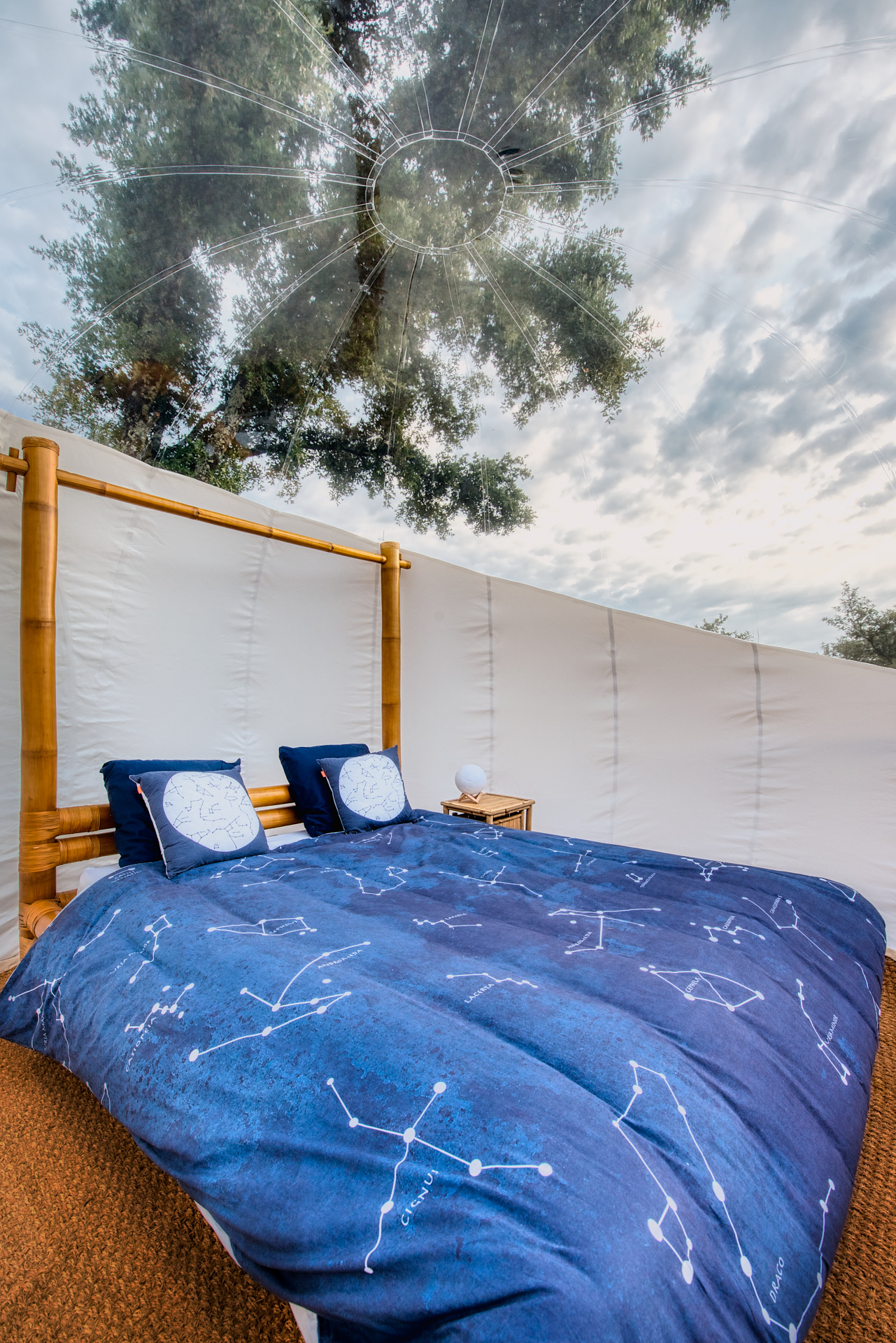 Bulle Orion – photo 6 sur 15