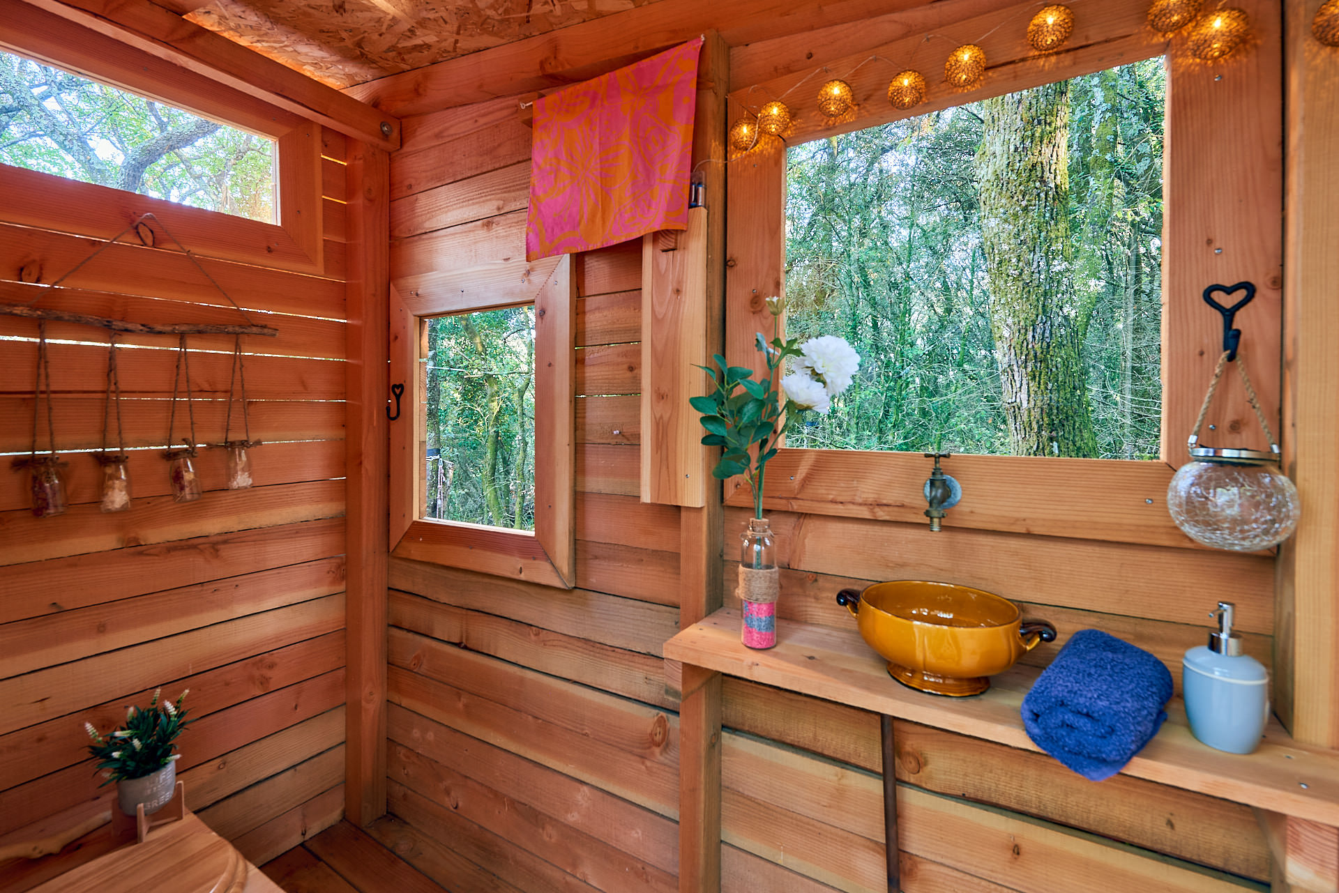 Bulle Pégase – photo 7 sur 15