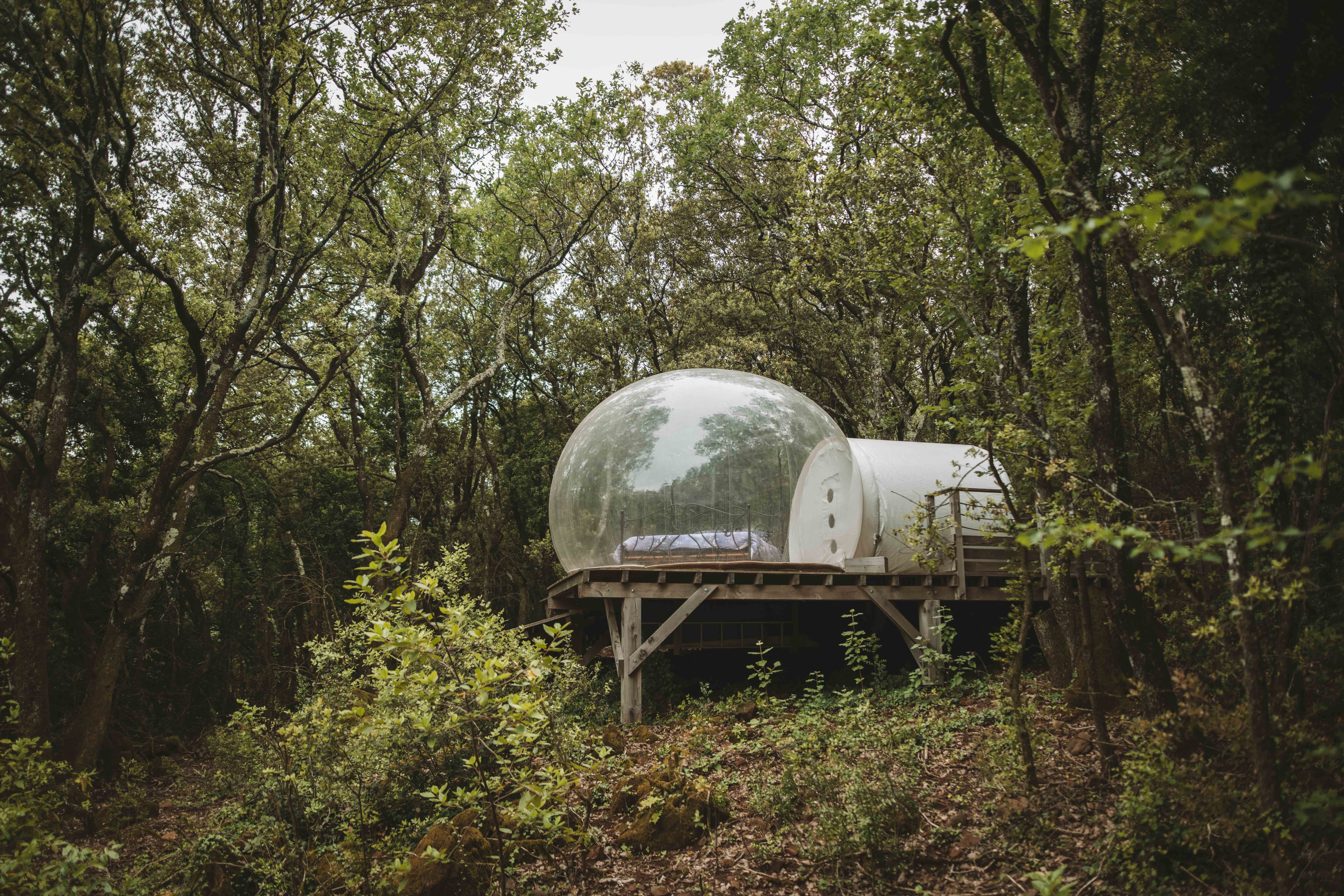 Bulle Pégase – photo 9 sur 15