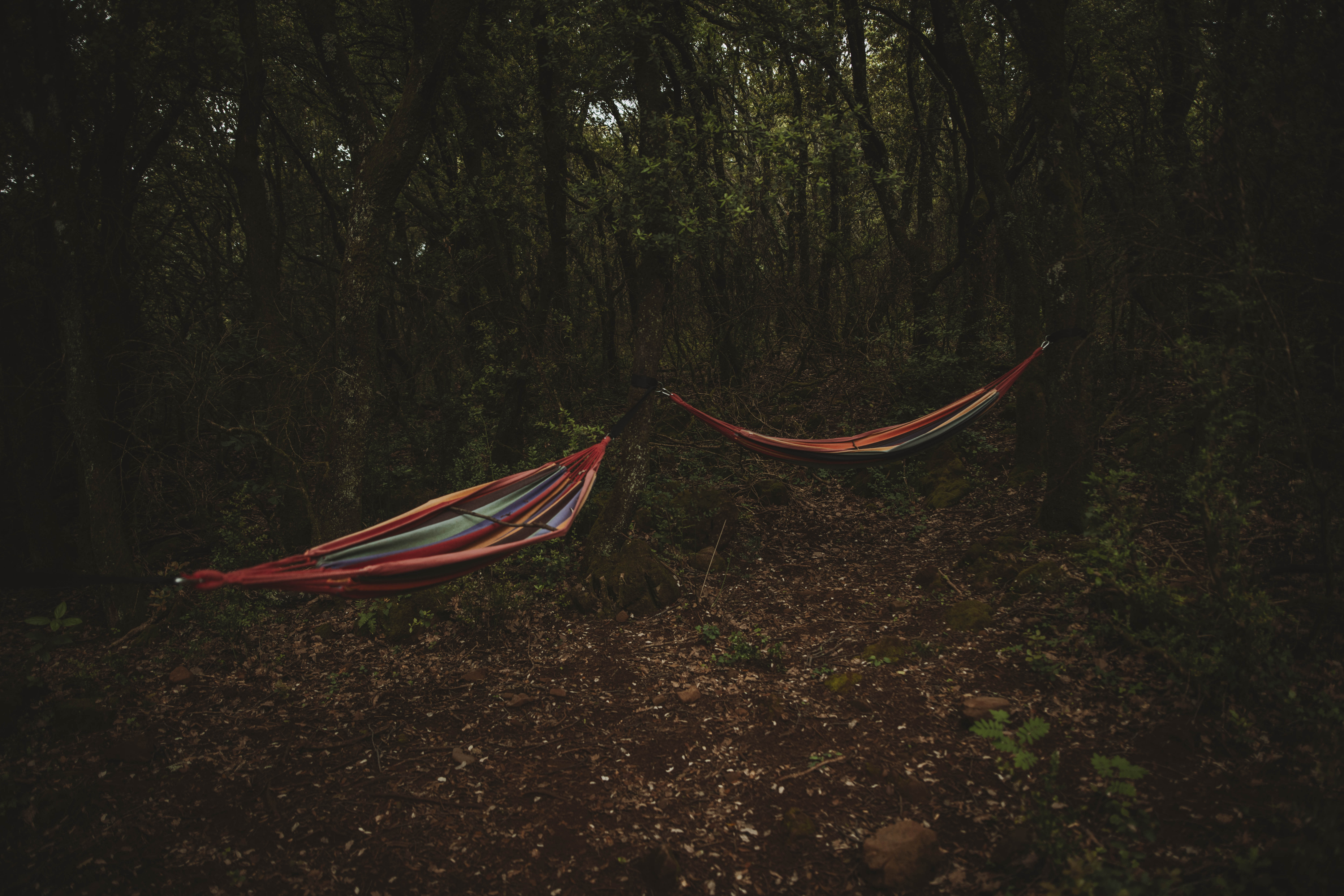 Bulle Pégase – photo 11 sur 15