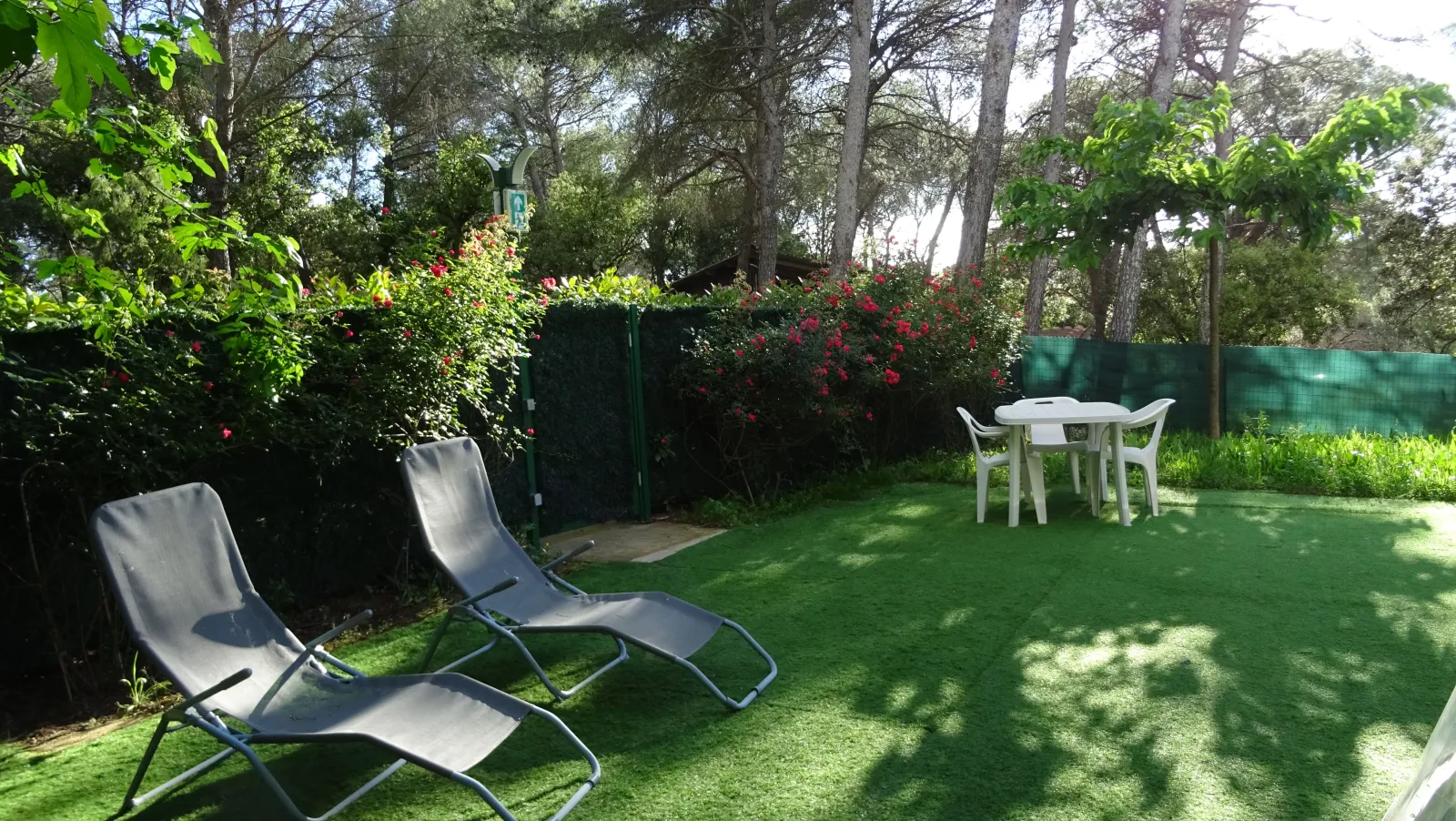 Bulle PMR sous les Mûriers & Spa - photo 8 sur 15