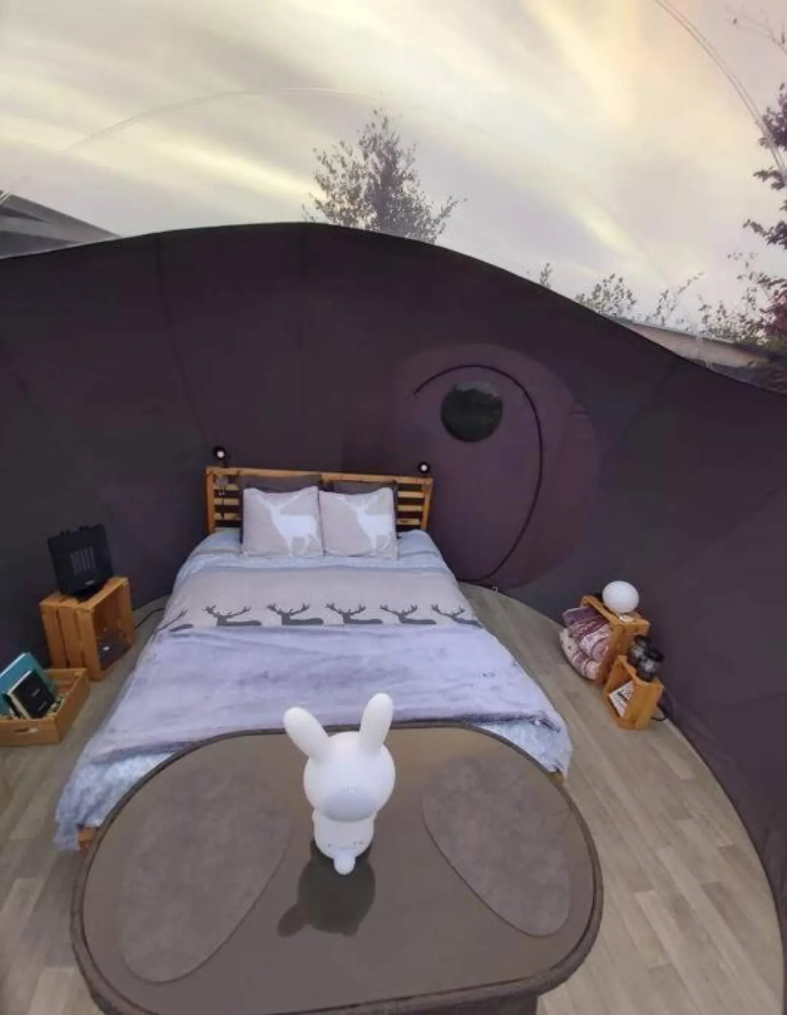 Chambre bulle sous les étoiles à Bras-Haut
