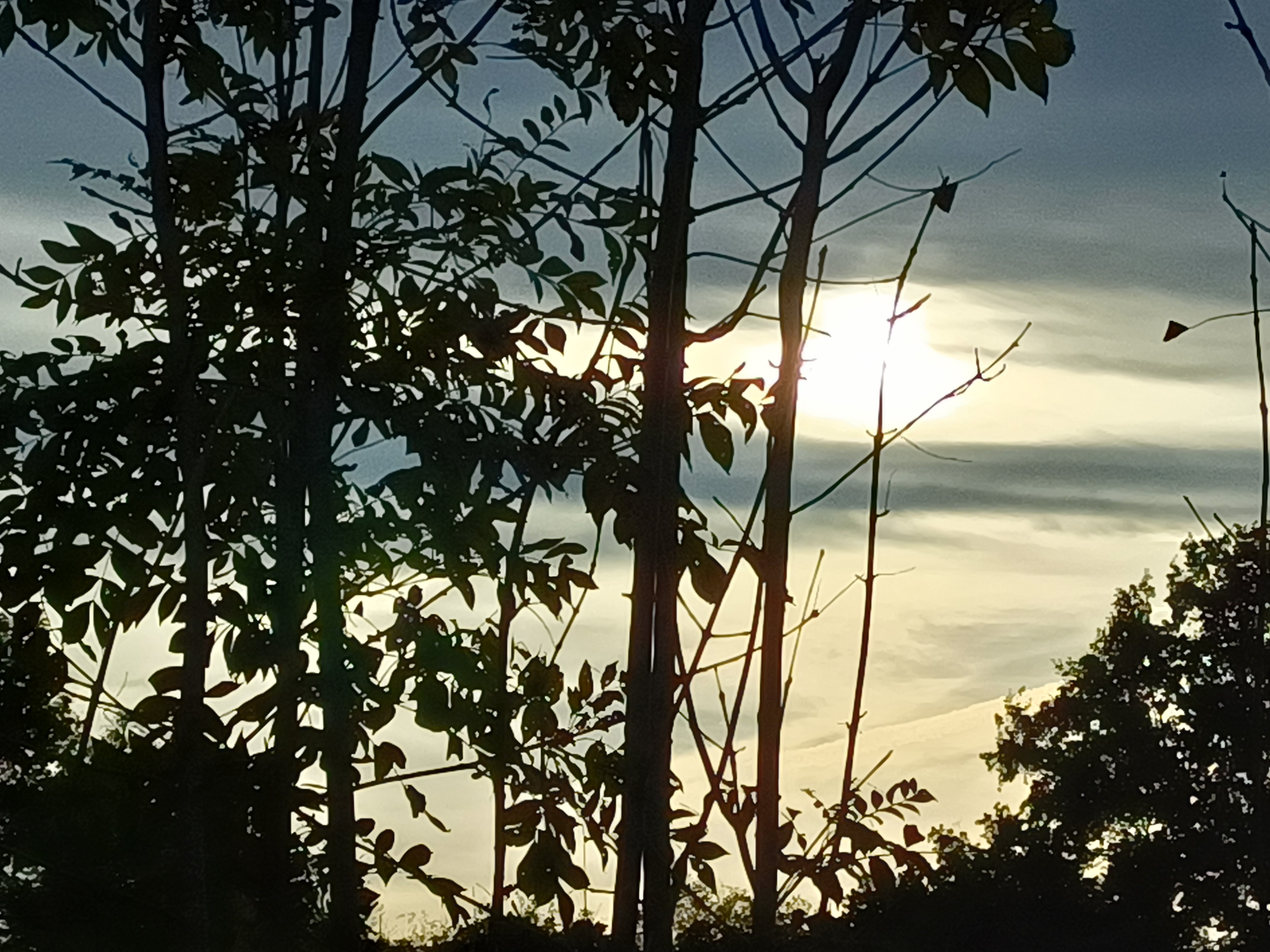 Reine des Prés - Pré en Bulles – photo 7 sur 14