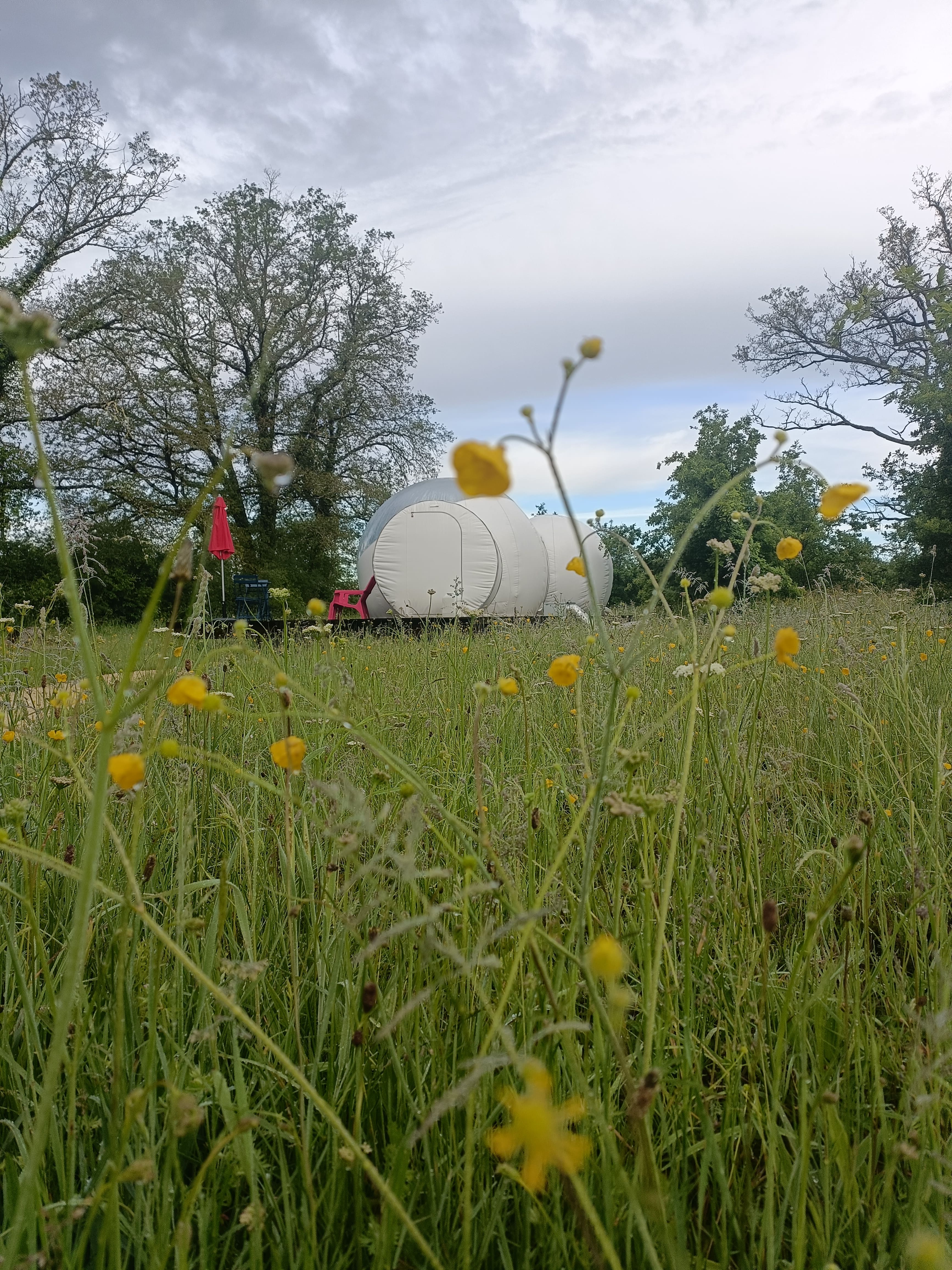 Reine des Prés - Pré en Bulles – photo 11 sur 14