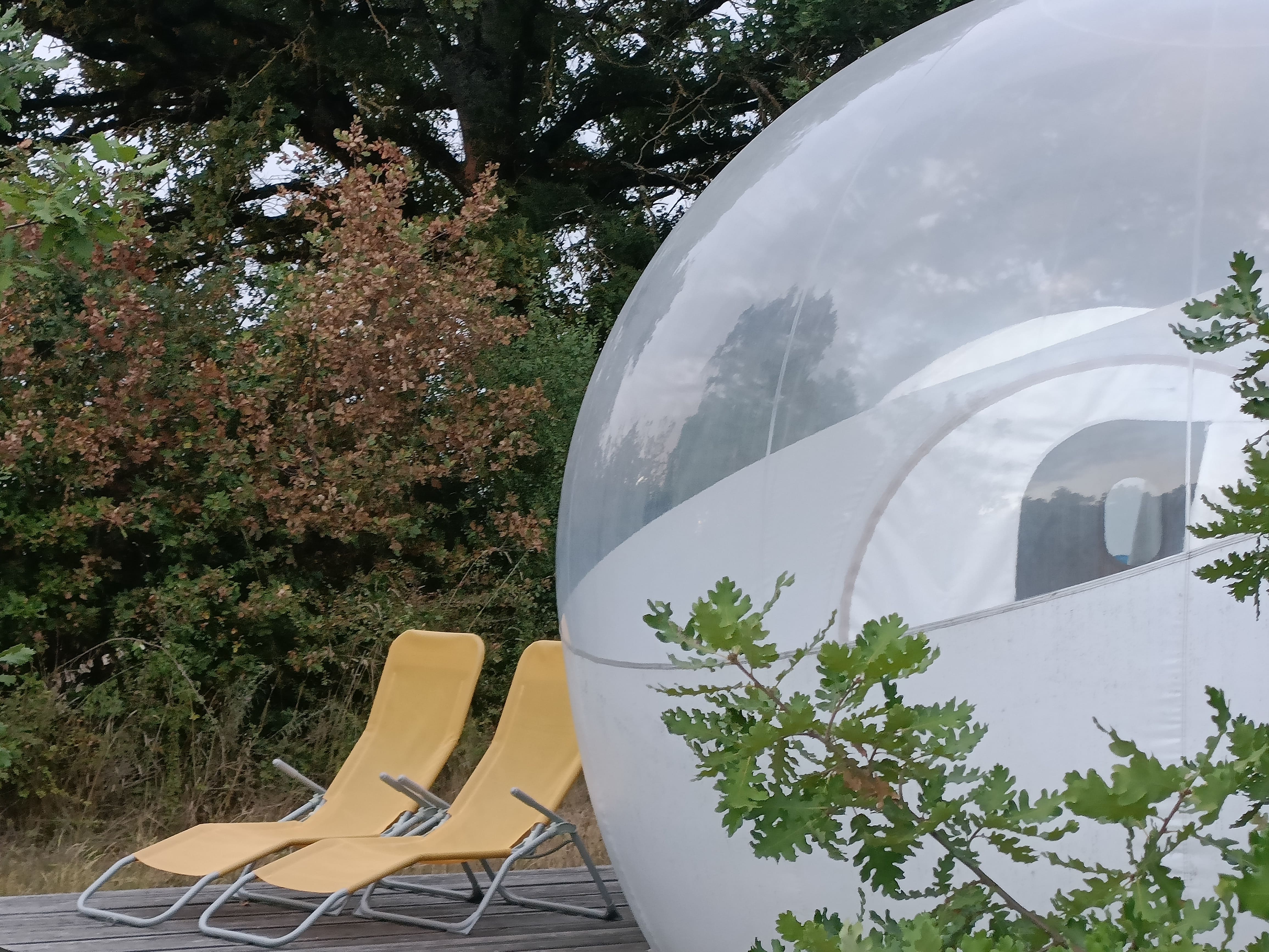 Reine des Prés - Pré en Bulles – photo 12 sur 14