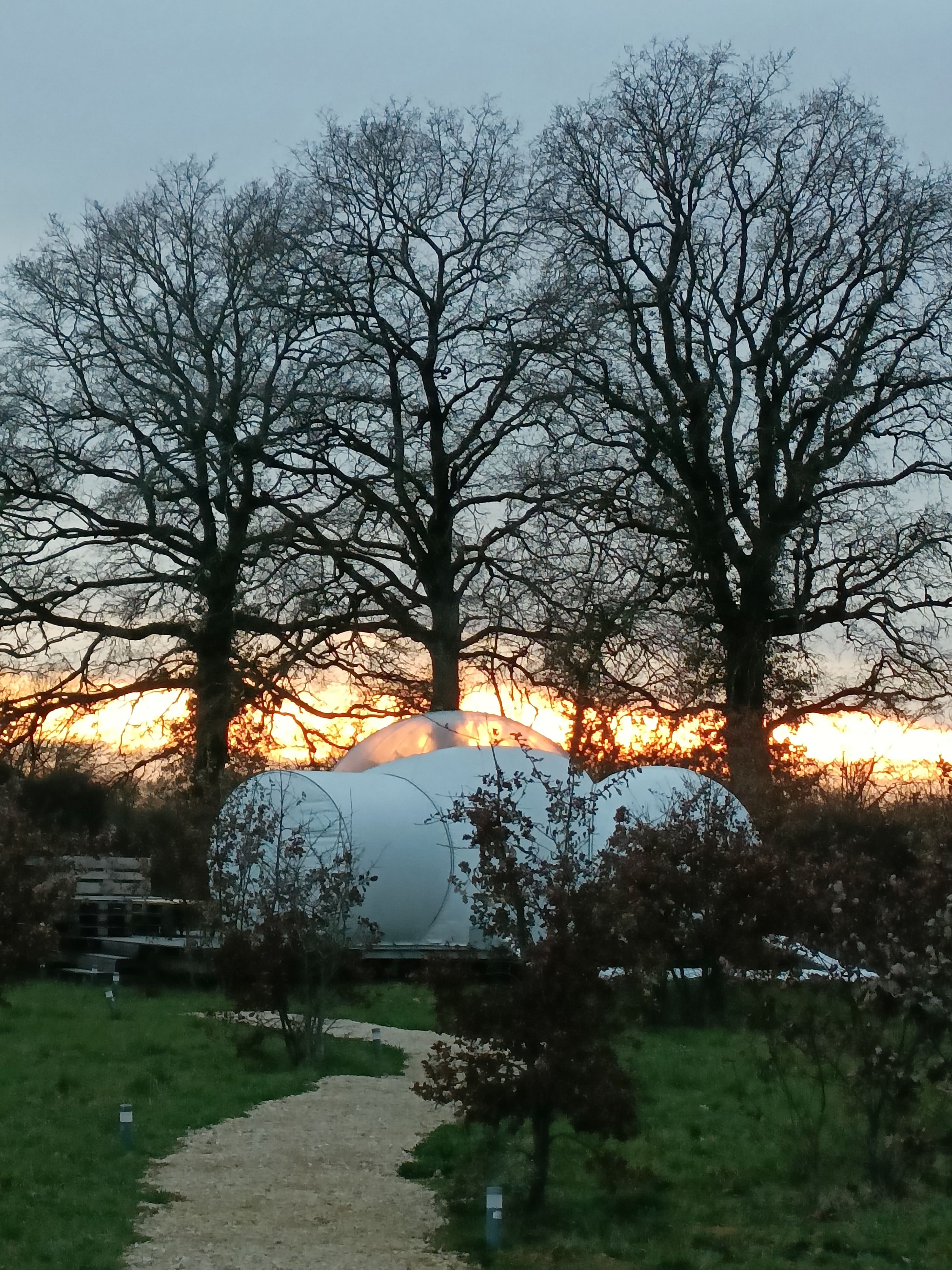 Reine des Prés - Pré en Bulles – photo 13 sur 14