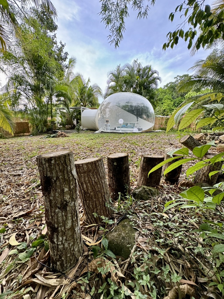 bulle insolite Martinique – photo 5