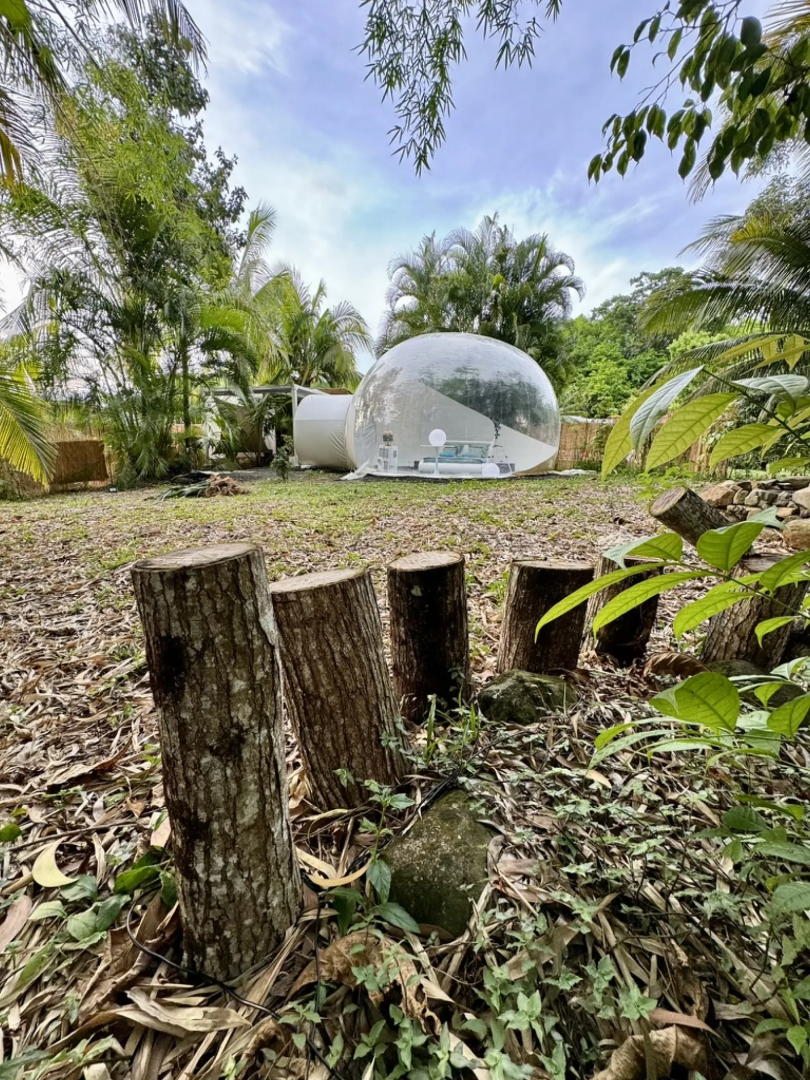 bulle insolite Martinique - photo 5