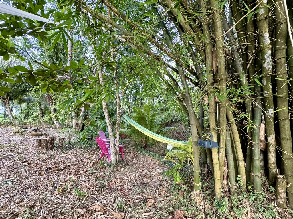 Bulle Riviera & Spa – photo 13 sur 15