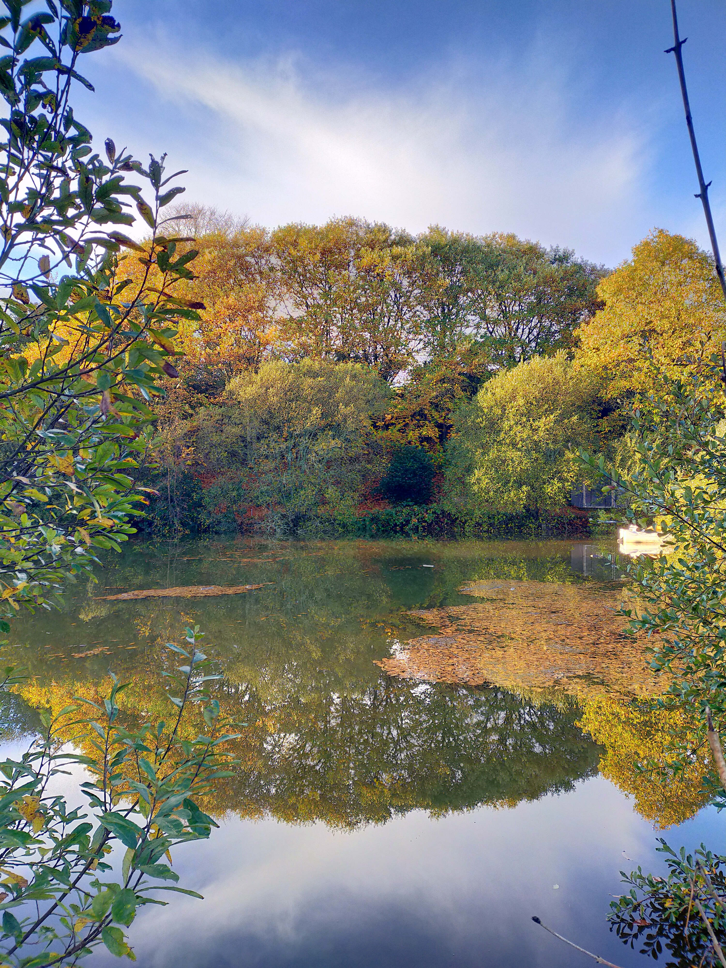 Bulle Spa - Domaine Rêves Étoilés – photo 10 sur 15