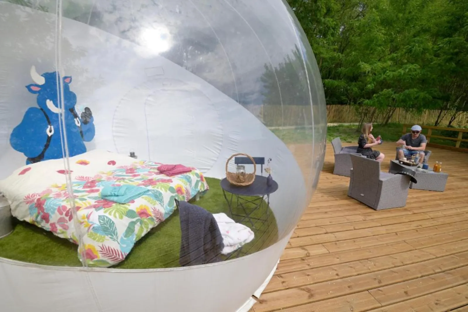 Bulle SPA Paysanne - photo 9 sur 9