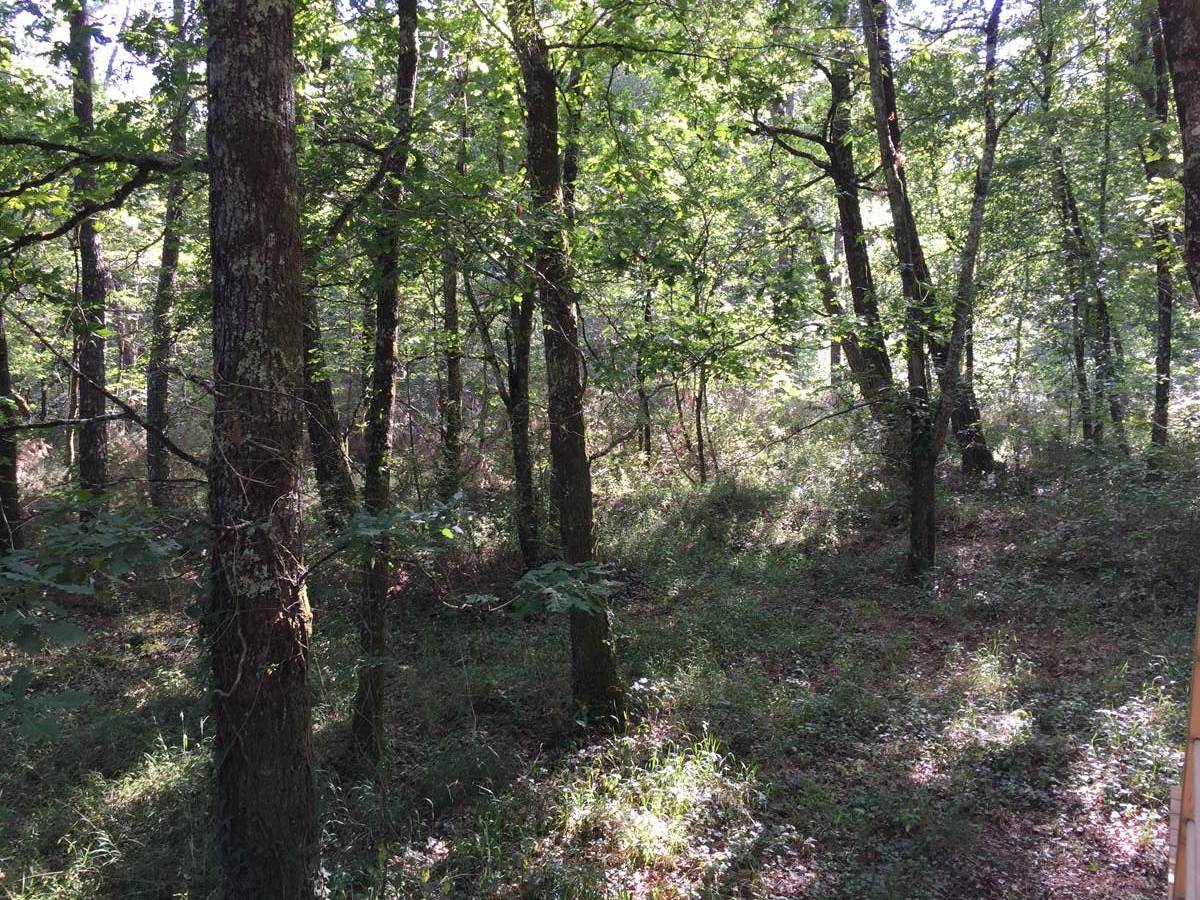 Bulle Spa Petit Verdot – cadre naturel Gironde