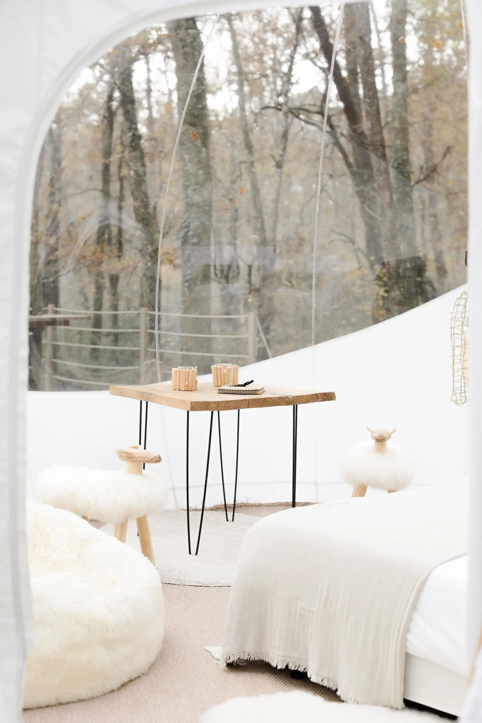 Bulle Spa Petit Verdot - photo 14 sur 15