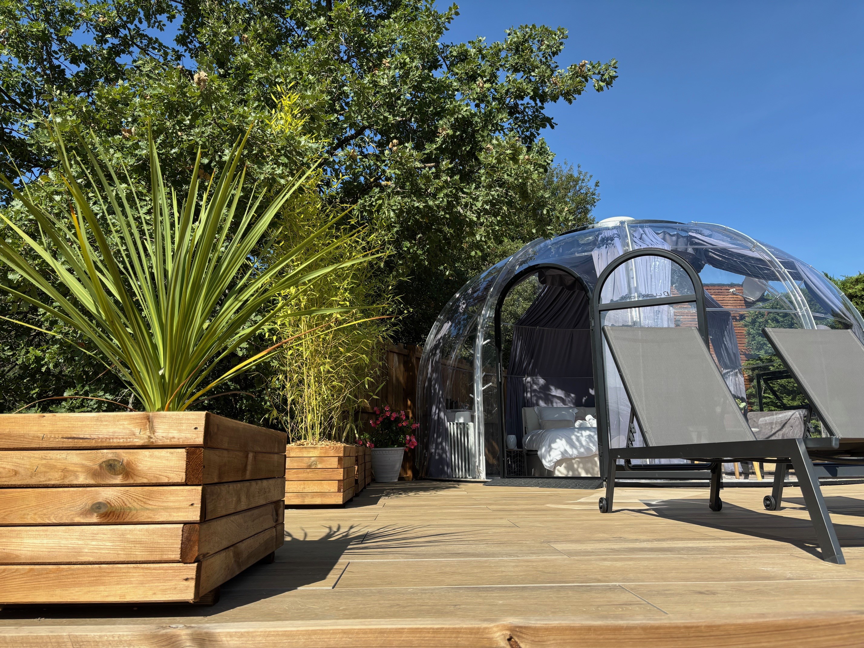 Chambre bulle sous les étoiles à Bathernay