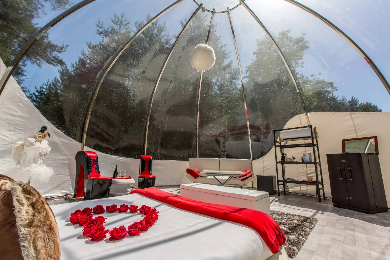 Bulle Suite Glamour - Bulle avec vue sur les étoiles et Vouvray offert (Brinon-sur-Sauldre, Cher) - cadre naturel Cher