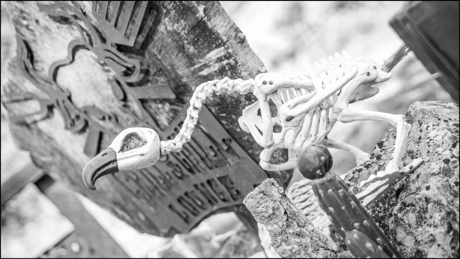 Bulle Texas – Luxe & SPA – Vue Lac Aiguebelette – photo 26 sur 195