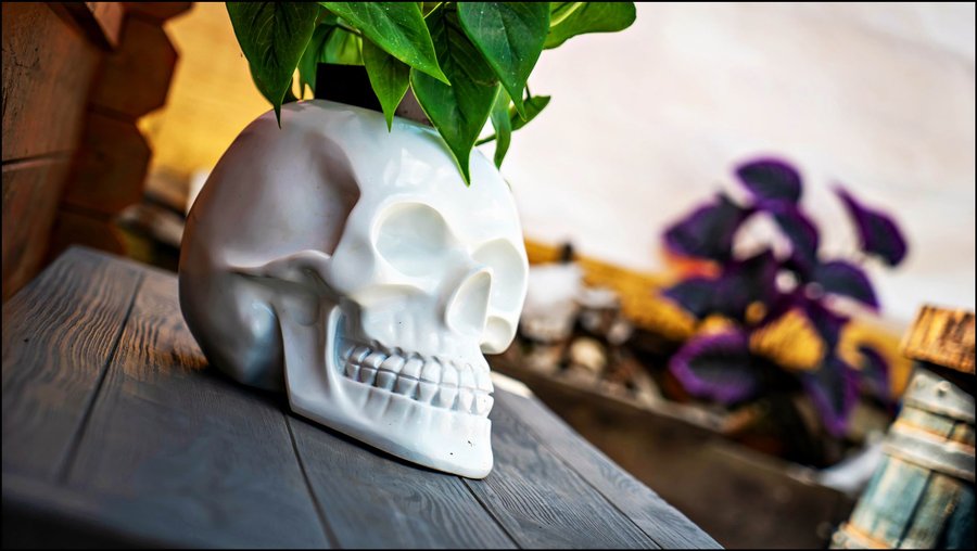 Bulle Texas – Luxe & SPA – Vue Lac Aiguebelette – photo 28 sur 195