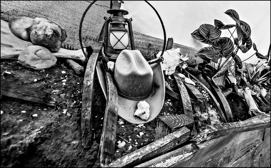 Bulle Texas – Luxe & SPA – Vue Lac Aiguebelette – photo 36 sur 195