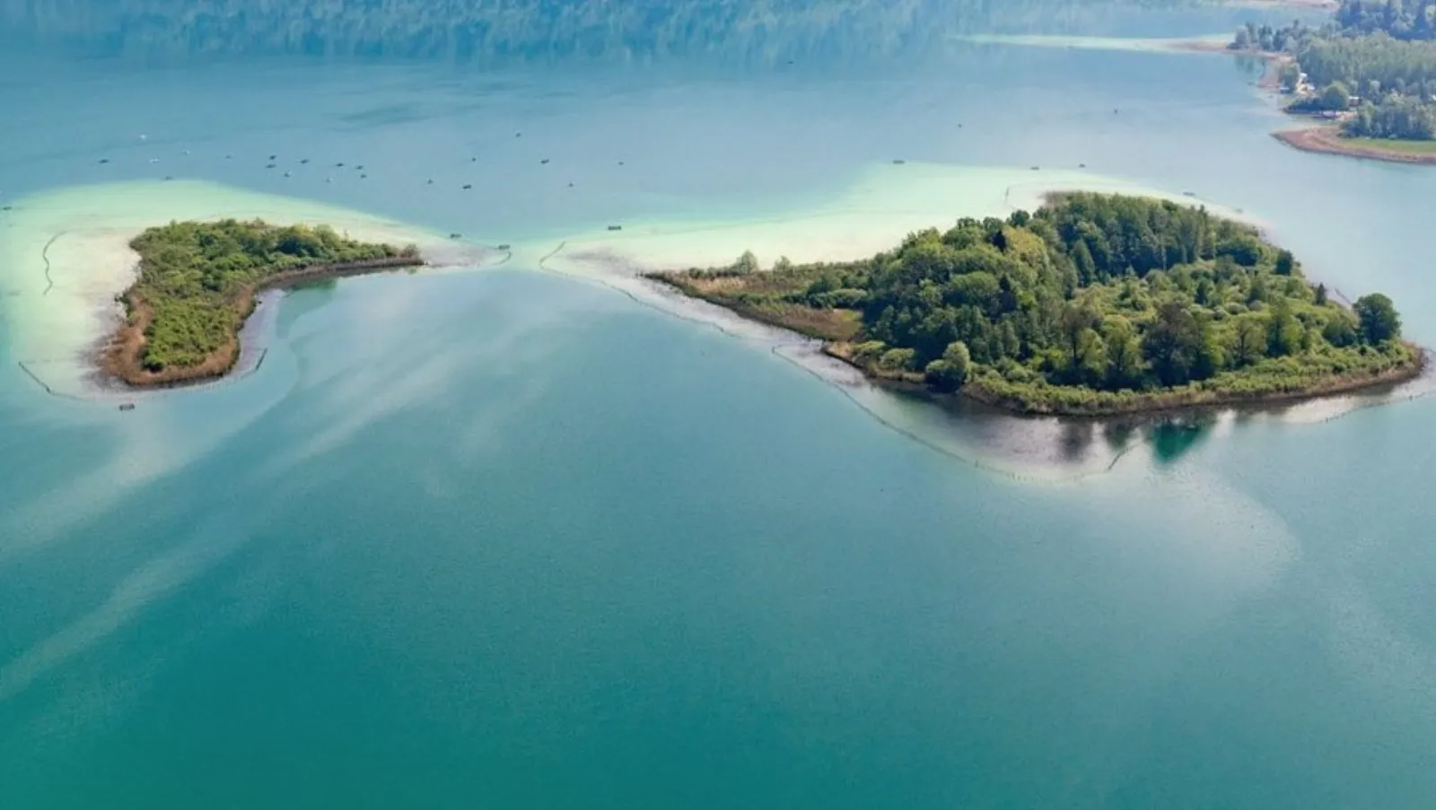 Bulle Texas - Luxe & SPA - Vue Lac Aiguebelette - photo 61 sur 195