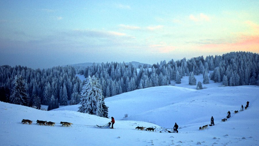 Bulle Texas – Luxe & SPA – Vue Lac Aiguebelette – photo 65 sur 195