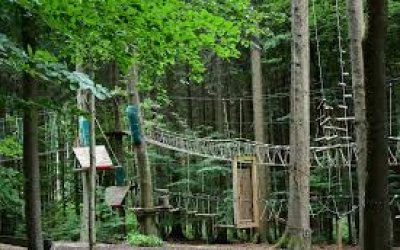 Bulle Texas – Luxe & SPA – Vue Lac Aiguebelette – photo 87 sur 195