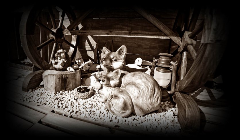 Bulle Texas – Luxe & SPA – Vue Lac Aiguebelette – photo 123 sur 195