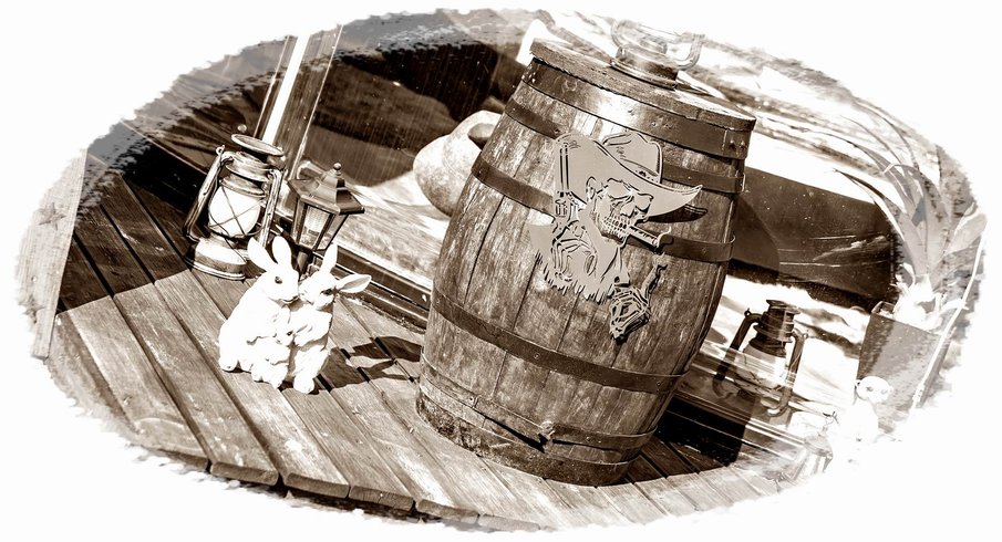 Bulle Texas – Luxe & SPA – Vue Lac Aiguebelette – photo 125 sur 195