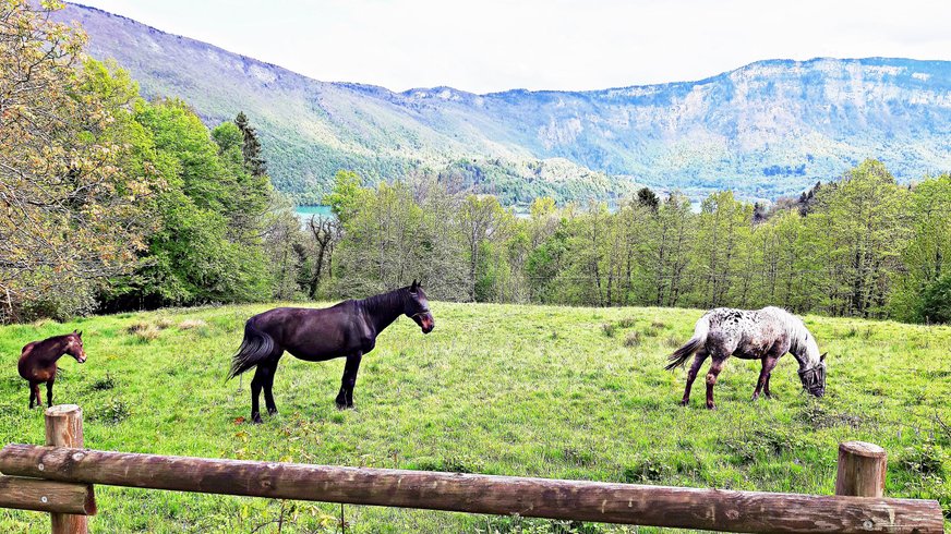 Bulle Texas – Luxe & SPA – Vue Lac Aiguebelette – photo 150 sur 195