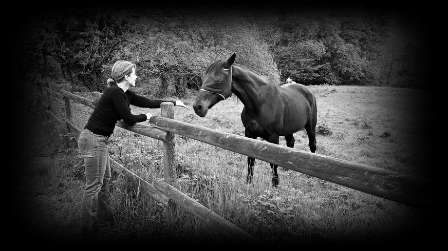 Bulle Texas – Luxe & SPA – Vue Lac Aiguebelette – photo 151 sur 195