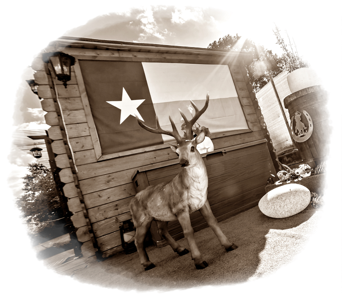 Bulle Texas - Luxury Glamping - Vue lac & montagnes – photo 17 sur 64