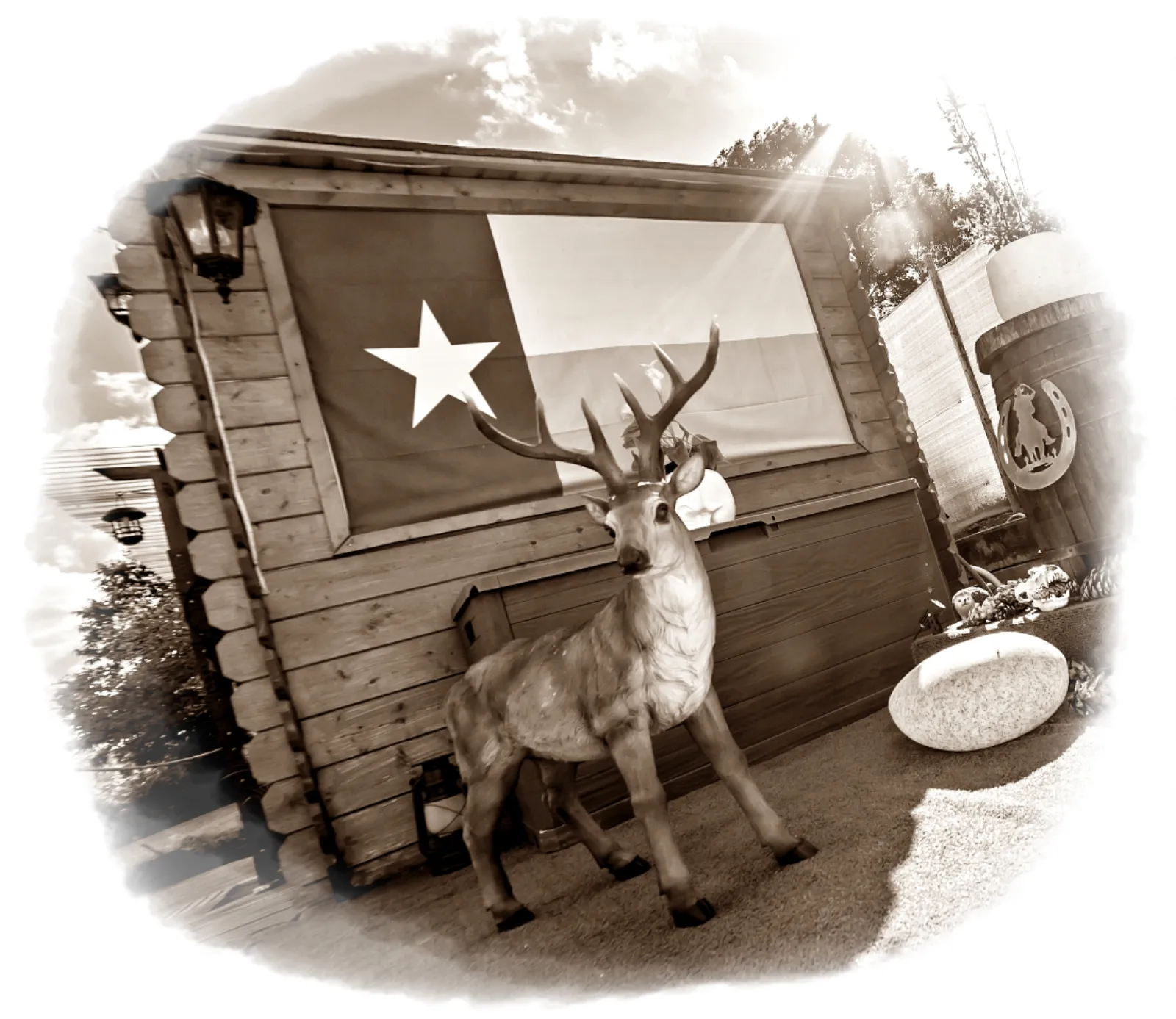 Bulle Texas - Luxury Glamping - Vue lac & montagnes - photo 17 sur 64