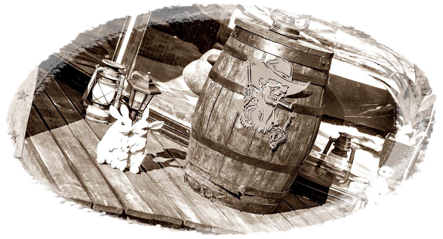 Bulle Texas - Luxury Glamping - Vue lac & montagnes – photo 19 sur 64