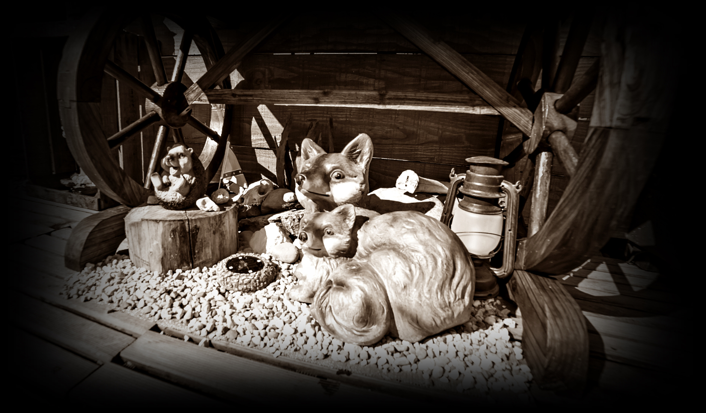 Bulle Texas - Luxury Glamping - Vue lac & montagnes – photo 20 sur 64